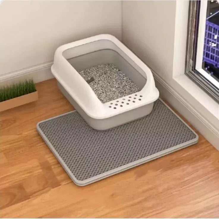 Double-Layer Cat Litter Mat